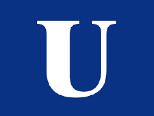 logo union digital