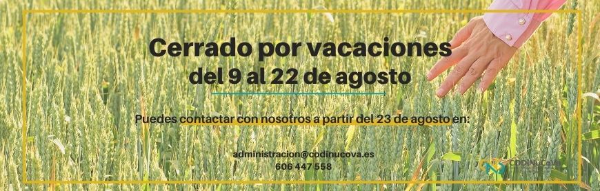 BANNERS BOLETN CODI vacaciones 2021