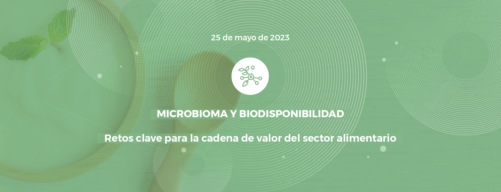 Innotransfer