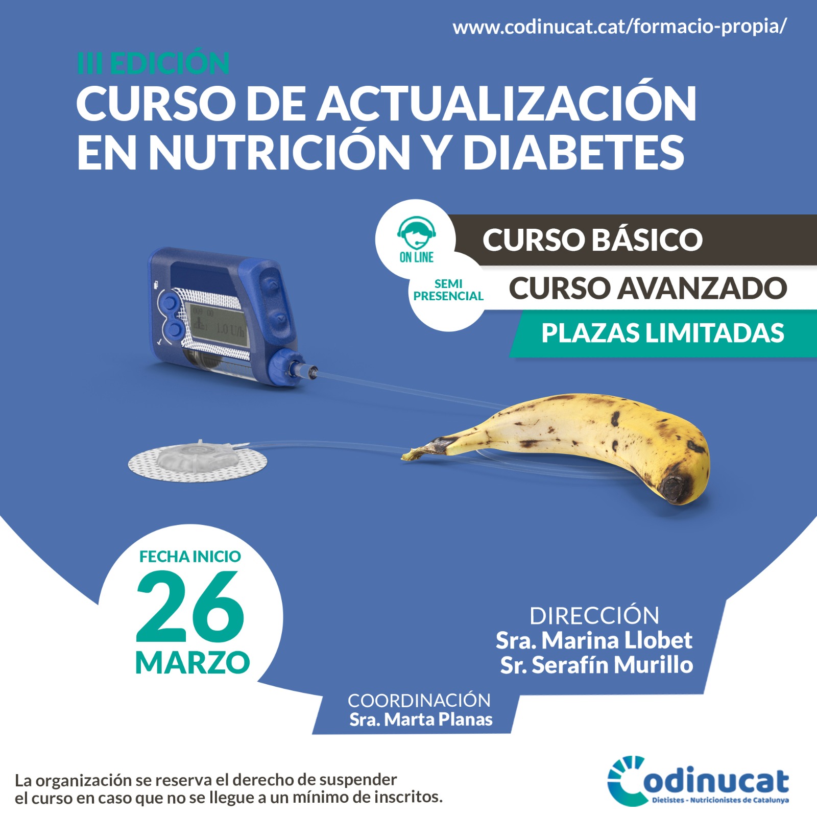 Curso Actualización en Nutrición y Diabetes. Nivel Básico y Avanzado