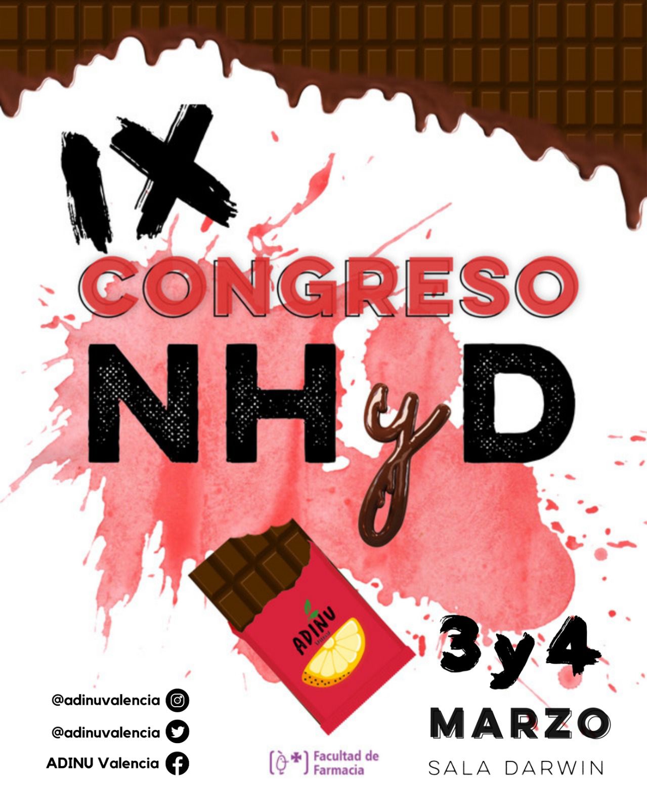 IX Congreso ADINU Valencia