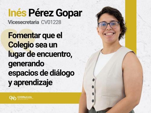 imagen ines perez gopar